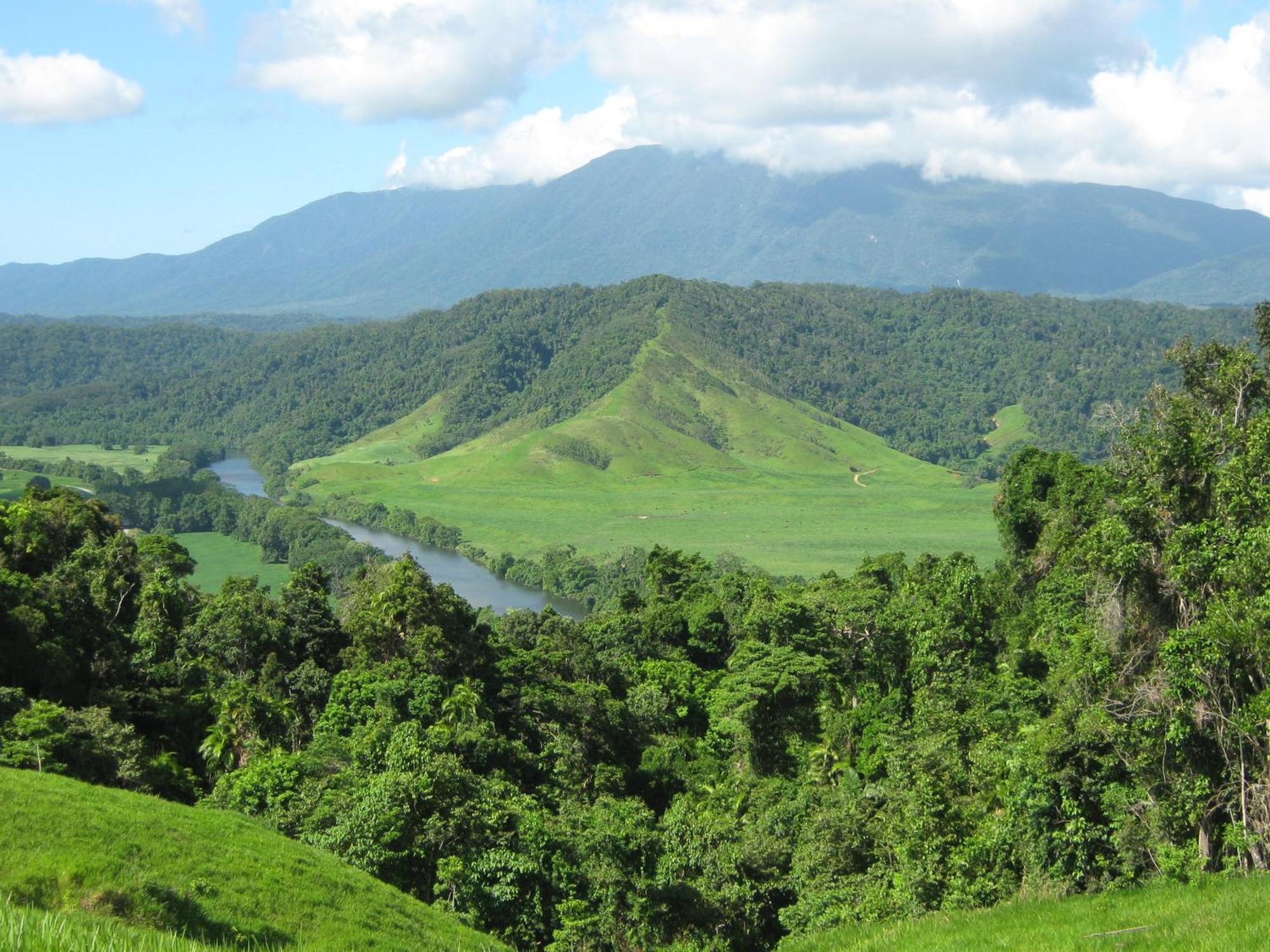 Daintree Riverview Lodges Zewnętrze zdjęcie