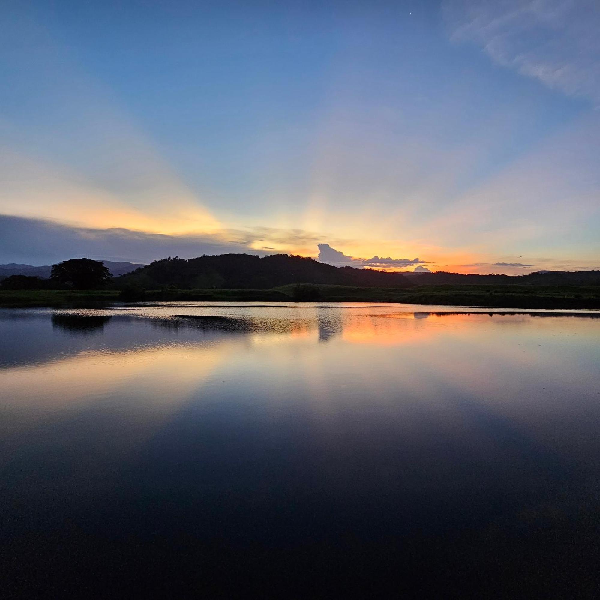 Daintree Riverview Lodges Zewnętrze zdjęcie