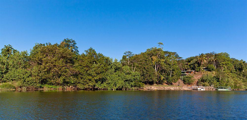 Daintree Riverview Lodges Zewnętrze zdjęcie